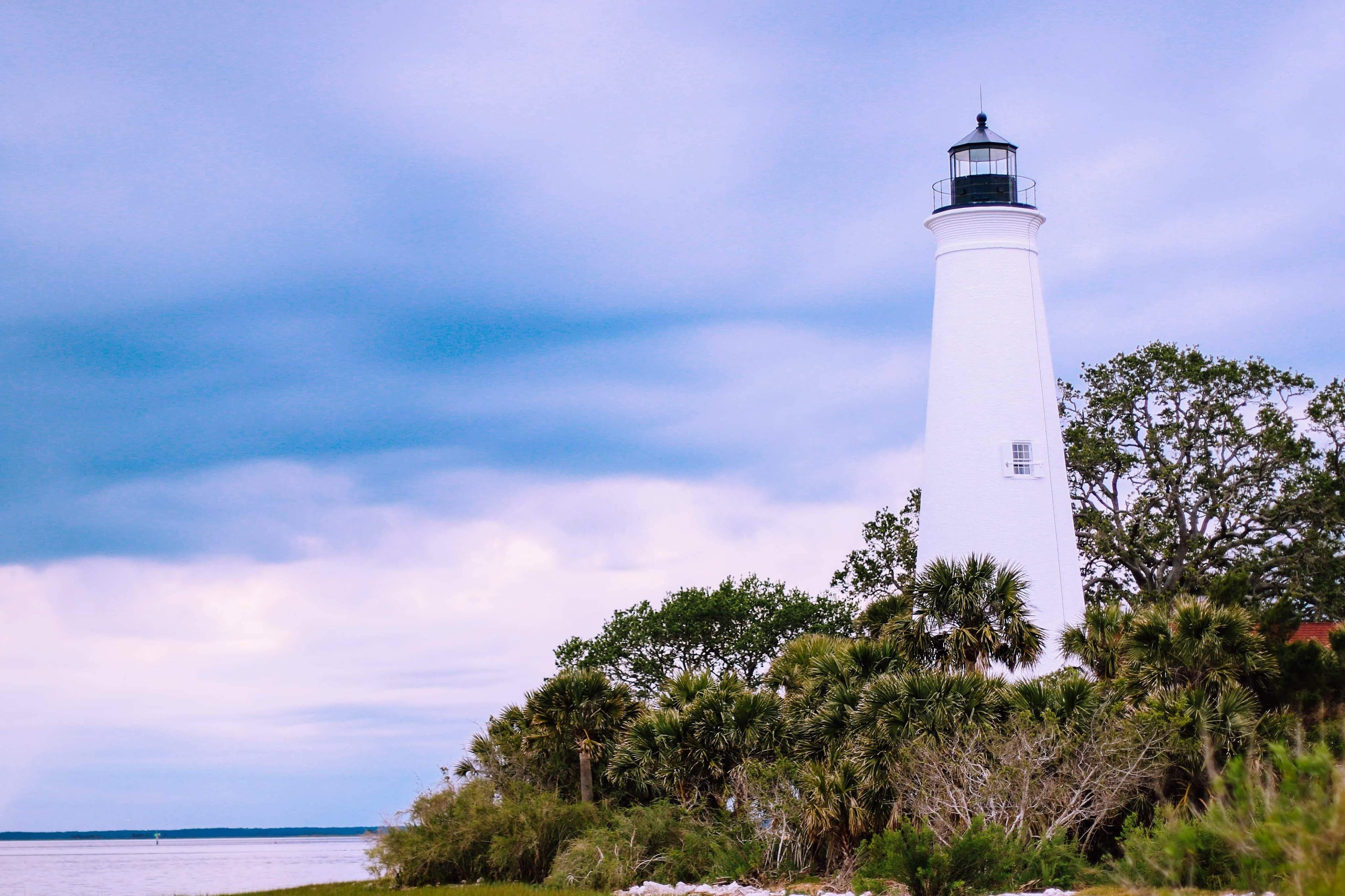 Trulight Consulting featured image